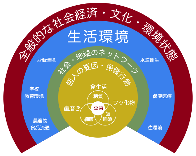 むし歯の要因