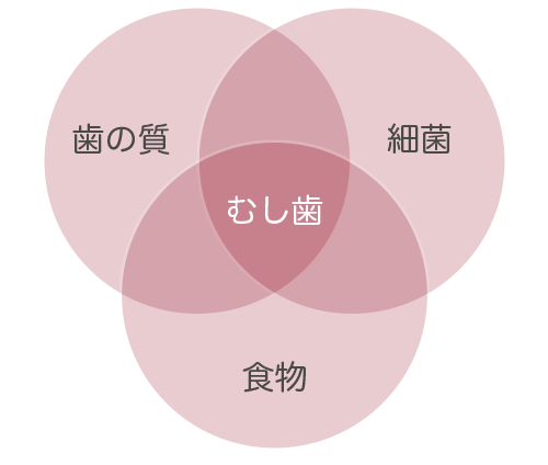 むし歯の発生と原因