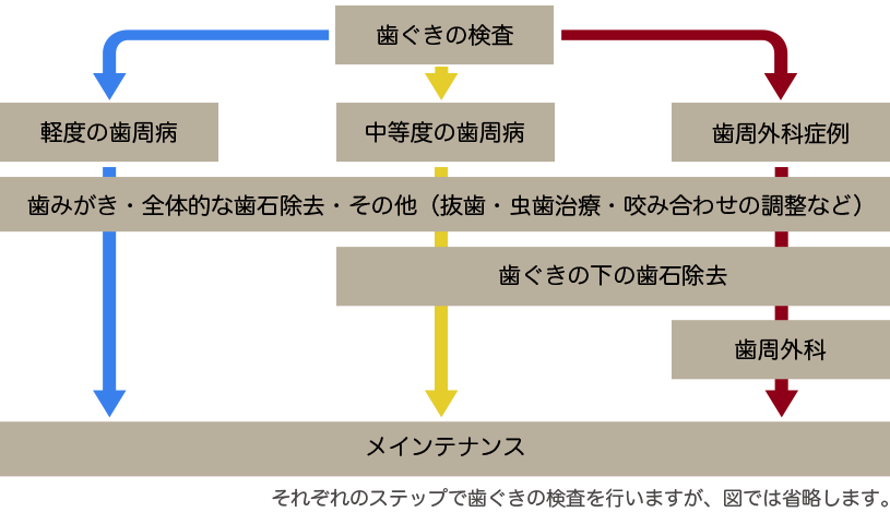 歯周病治療の流れ