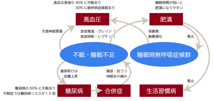 不眠・睡眠不足と生活習慣病との悪循環