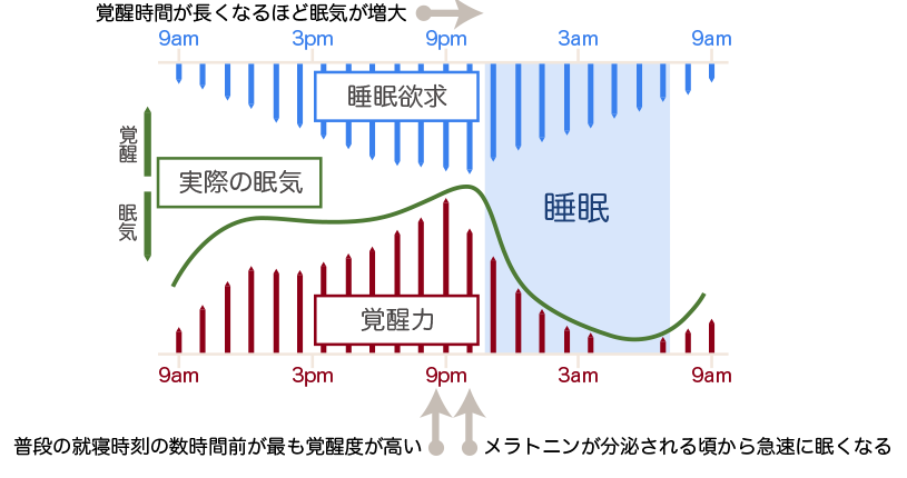 眠りのメカニズム