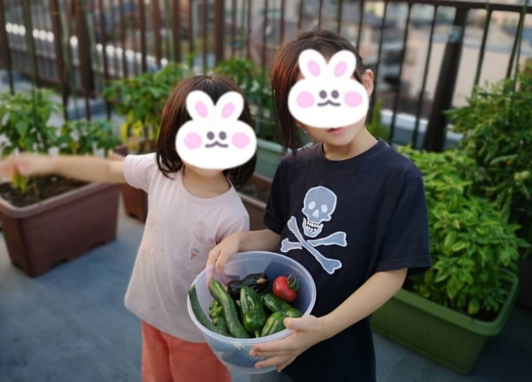 長男のサクくん(右)と次男のアンくん(左)も、野菜作りをお手伝い