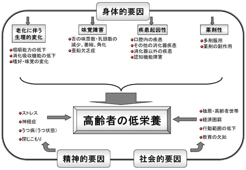 高齢者の低栄養の要因