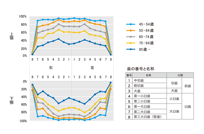 各歯を有する人の割合