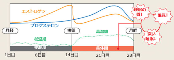 月経周期に関わる女性ホルモン変動と睡眠