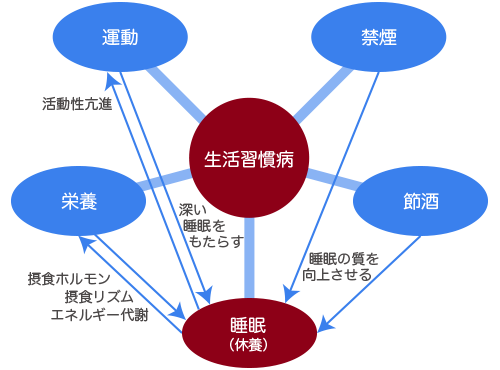 睡眠に関する問題は生活習慣との関係が深い