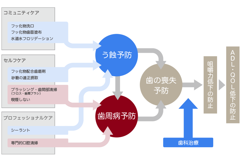 歯科衛生学シリーズ 歯・口腔の健康と予防に関わる人間と社会の仕組み1 保健生態学 Amazon.co.jp: 歯・口腔の健康と予防に関わる人間と社会の仕組み