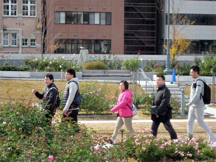 水都大阪 中之島を歩く 健康さわやかウォーキング