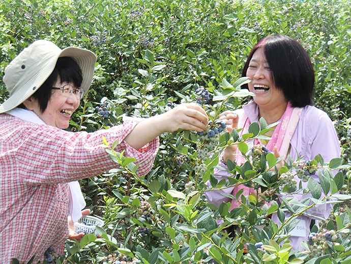 【長野県箕輪町】<募集>みのわ健康幸せツアー4 元五輪選手による木陰のウォーキング教室&ブルーベリー収穫体験
