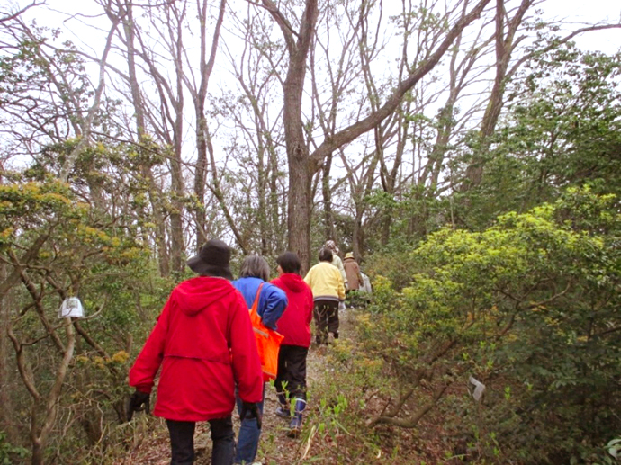 【京都府 精華町】せいか健康づくりプロジェクト「わくわく健康里山の会」活動報告