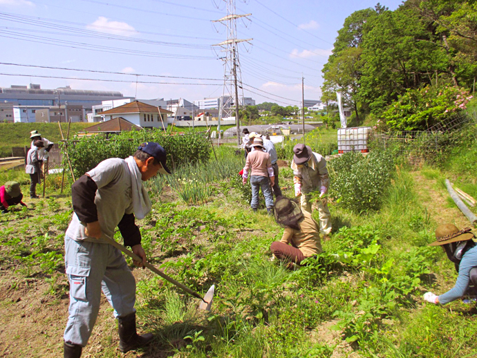 【京都府 精華町】せいか健康づくりプロジェクト「わくわく健康里山の会」