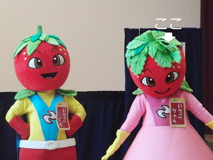 【京都府 精華町】せいか健康づくりプロジェクト「せいか食育劇団もぐもぐ」活動報告(聖マリア幼稚園)