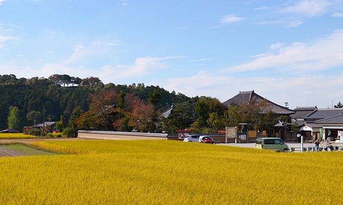 【京都府　精華町】せいか健康づくりプロジェクト「いきいき健康ウォーク」活動報告