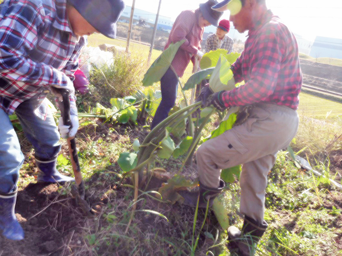 【京都府　精華町】せいか健康づくりプロジェクト「わくわく健康里山の会」活動報告