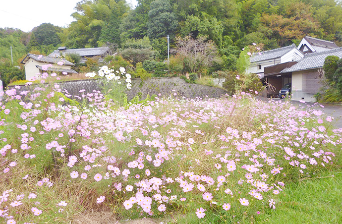【京都府　精華町】せいか健康づくりプロジェクト「軽やか同窓会」