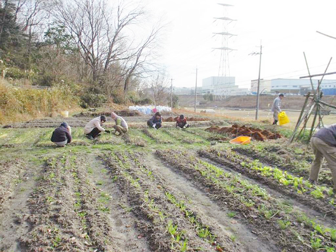 【京都府 精華町】せいか健康づくりプロジェクト「わくわく健康里山の会」活動報告