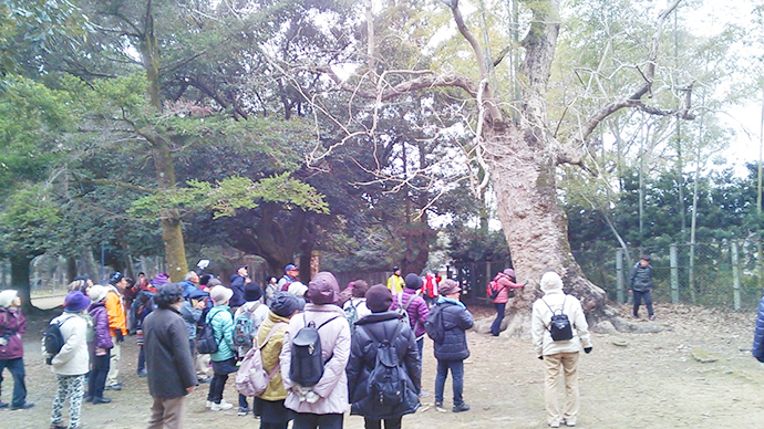 【京都府 精華町】せいか健康づくりプロジェクト「軽やか同窓会」