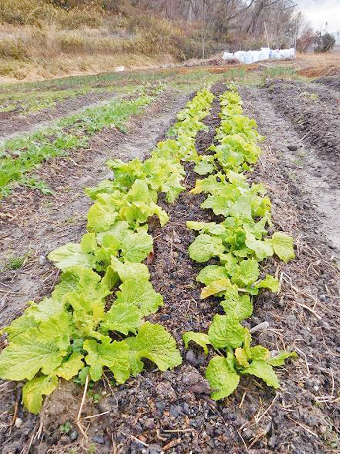 【京都府 精華町】せいか健康づくりプロジェクト「わくわく健康里山の会」(2月の定例会)