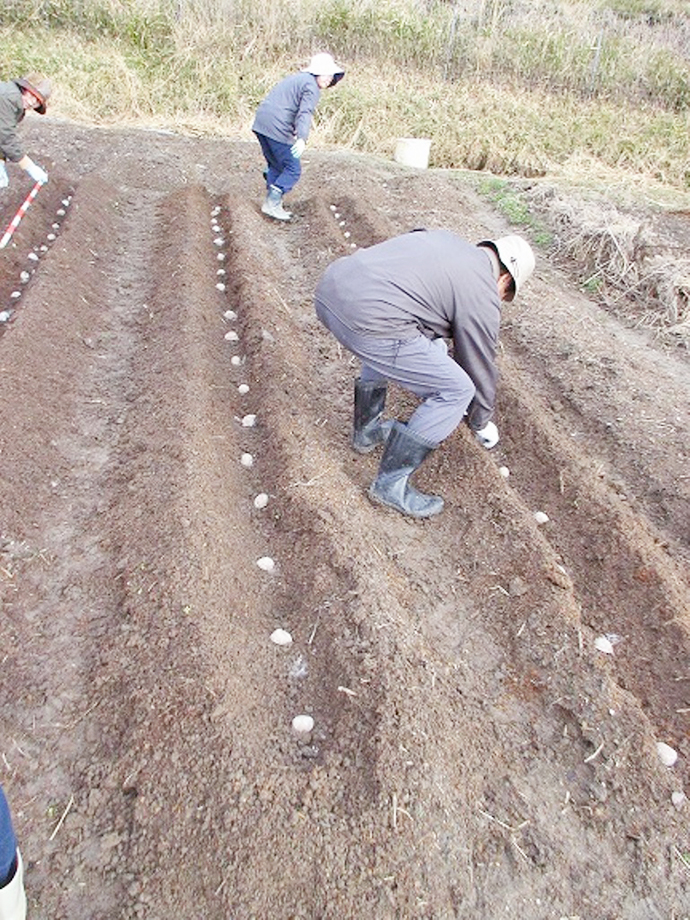 【京都府 精華町】せいか健康づくりプロジェクト「わくわく健康里山の会」活動報告
