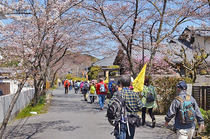 【京都府 精華町】せいか健康づくりプロジェクト「いきいき健康ウォーク」活動報告