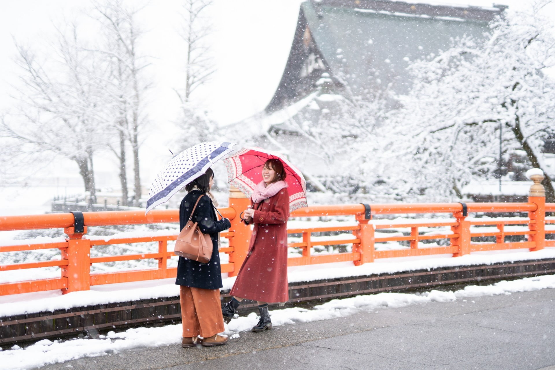 飛騨市駅 こ線橋からの眺め（君の名はの1シーン）